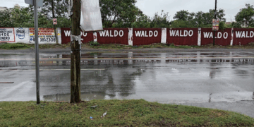 Cwaldo ¿‘Eres un Clon’? ©