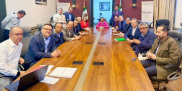 Apoyarán PT y Verde Plan B de Reforma Electoral