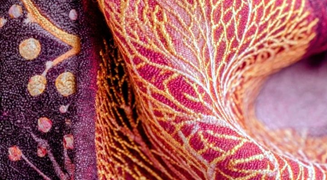 GH Desarrollo Inteligente de Negocios®