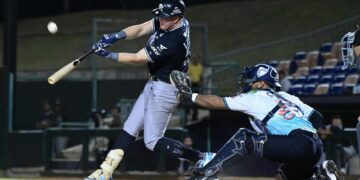 Dividen Sultanes triunfos con Tigres pero pierden otra serie