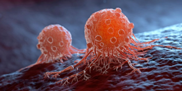 Investigadores crean bacterias capaces de consumir tumores desde el interior