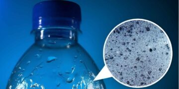 Los microplásticos: “Caballos de Troya” que afectan la salud humana y de ecosistemas