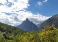 Narrativa de saqueo y crímen en la Sierra de Santiago, Nuevo León: MAIZ, A.C.