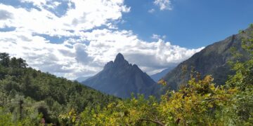 Narrativa de saqueo y crímen en la Sierra de Santiago, Nuevo León: MAIZ, A.C.