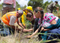 Comienza Jornada Nacional de Reforestación 2026